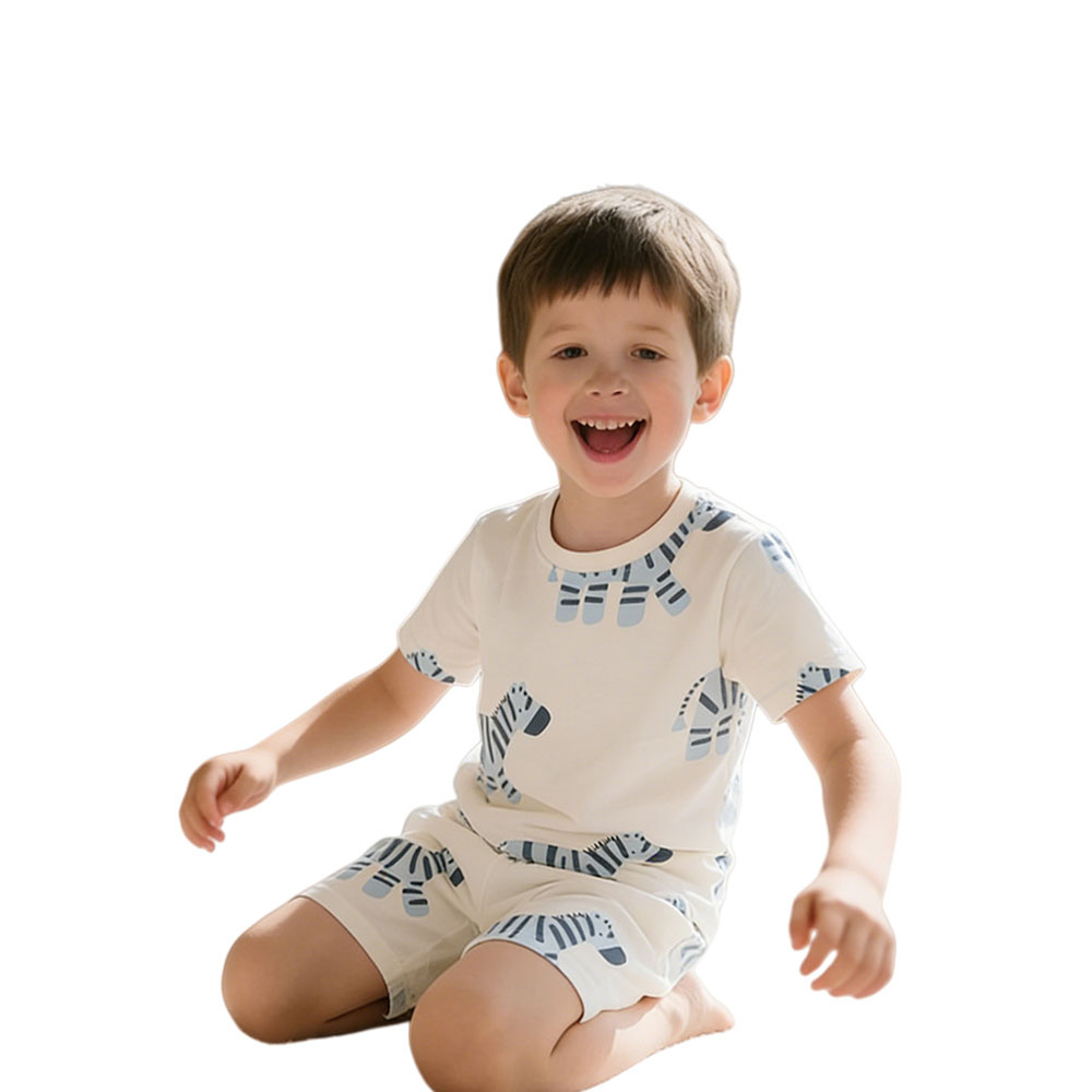 2026 New Arrival 3-8T Zebra Bo - огляд і ціна Baby Zebra Clothing