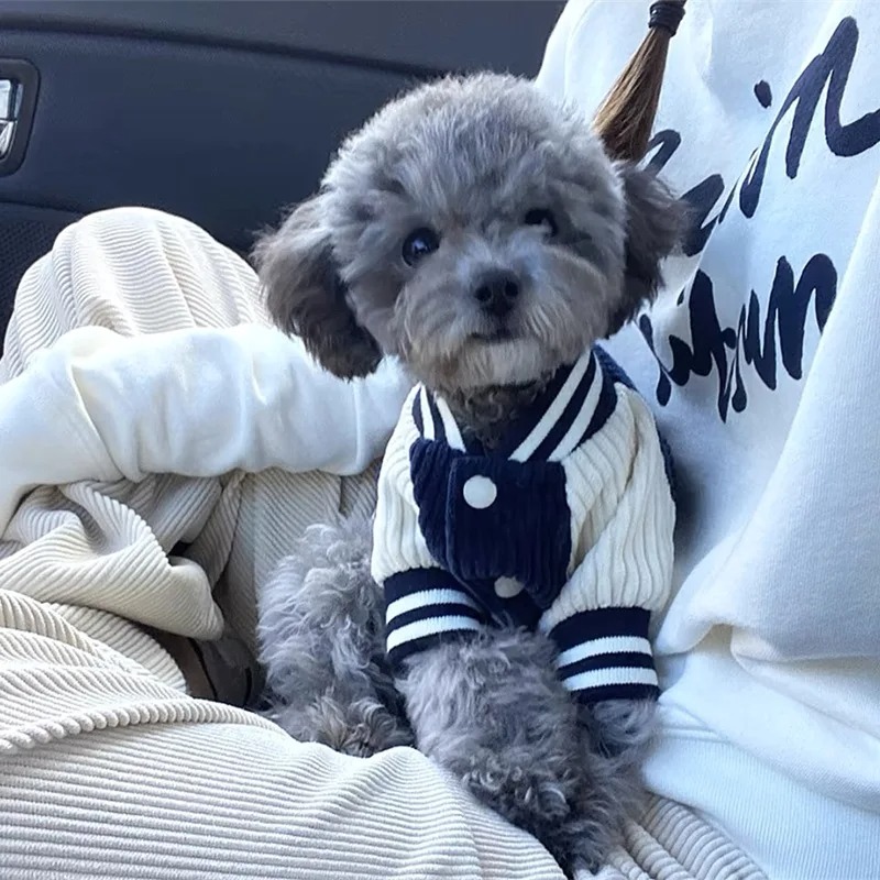 Costume for Dog Clothes Chihua - огляд і ціна Baby Clothing Winter