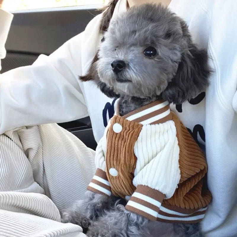 Costume for Dog Clothes Chihua - огляд і ціна Baby Clothing Winter